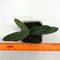 Пафиопе́дилум (paphiopedilum rungsuriyanum x niveum)(А-111)